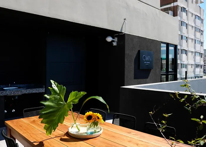 Deluxe One-Bedroom Apartment